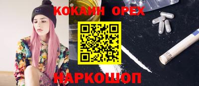 прущие грибы Гагарин