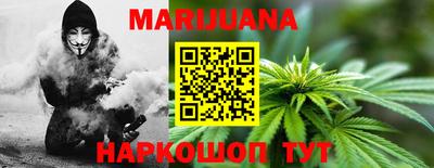 кокс Гатчина