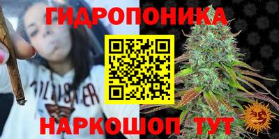 кокс Гатчина