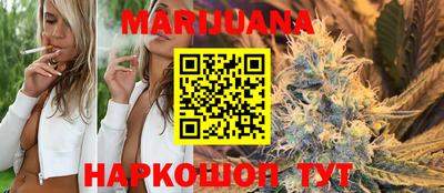 кокс Гатчина