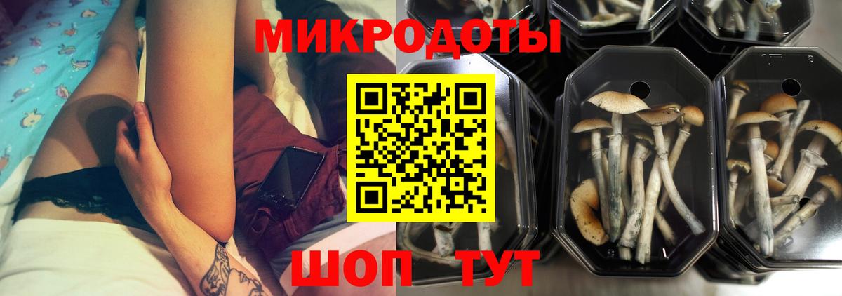 Псилоцибиновые грибы Psilocybe  Вход с VPN  сколько стоит  Ишимбай 